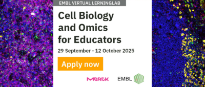 SocialMediaAdvertisement_LLAB2025