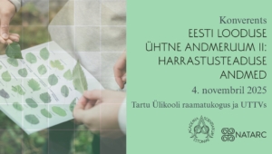 558867605_1315167093980625_3270326724763492781_n