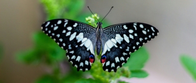 vivek-doshi-PNXnfta-6-4-unsplash