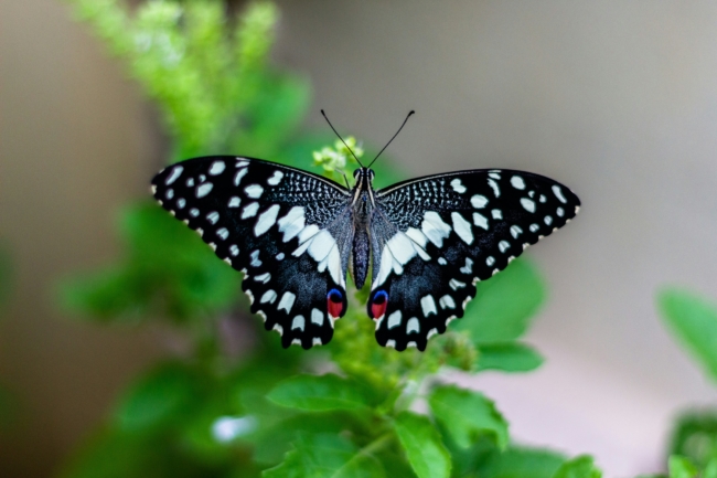 vivek-doshi-PNXnfta-6-4-unsplash