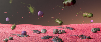 Kuvatõmmis 2025-12-02 162218