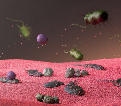 Kuvatõmmis 2025-12-02 162218