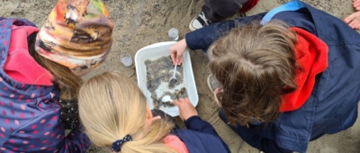 20220618_105138-1024x768