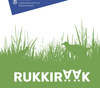 rukkurääk